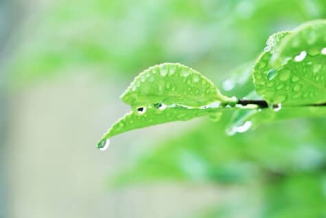 梅雨イメージ